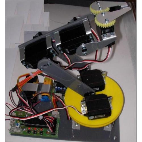 Robot Kol (Montajlı)
